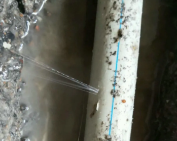 南沙卫生间测漏水多少钱